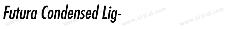 Futura Condensed Lig字体转换